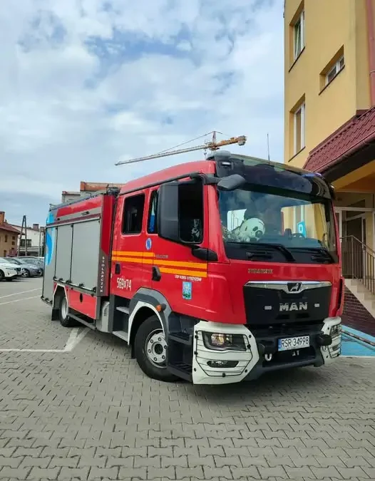 OSP Strzyżów usunęło gniazdo owadów błonkoskrzydłych przy ul. Parkowej