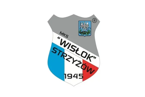 Wisłok Strzyżów i Sokół Malinie mistrzami jesieni — podsumowanie rozgrywek