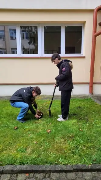 Uczniowie ZST Strzyżów sadzili drzewa i krzewy miododajne