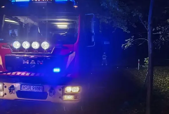 Pożar liści w przydrożnym lesie w Baryczce – akcja strażaków