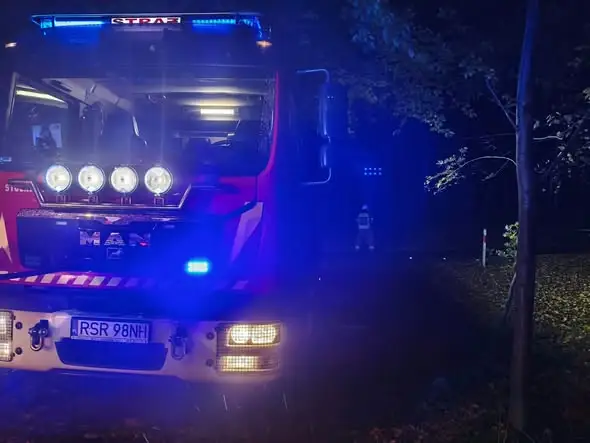 Pożar liści w przydrożnym lesie w Baryczce – akcja strażaków